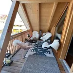 Sunny Retreat Apartman *